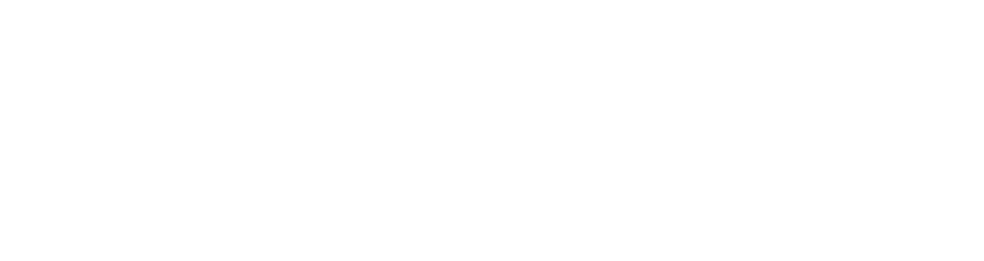 Soluciones Cuánticas Globales